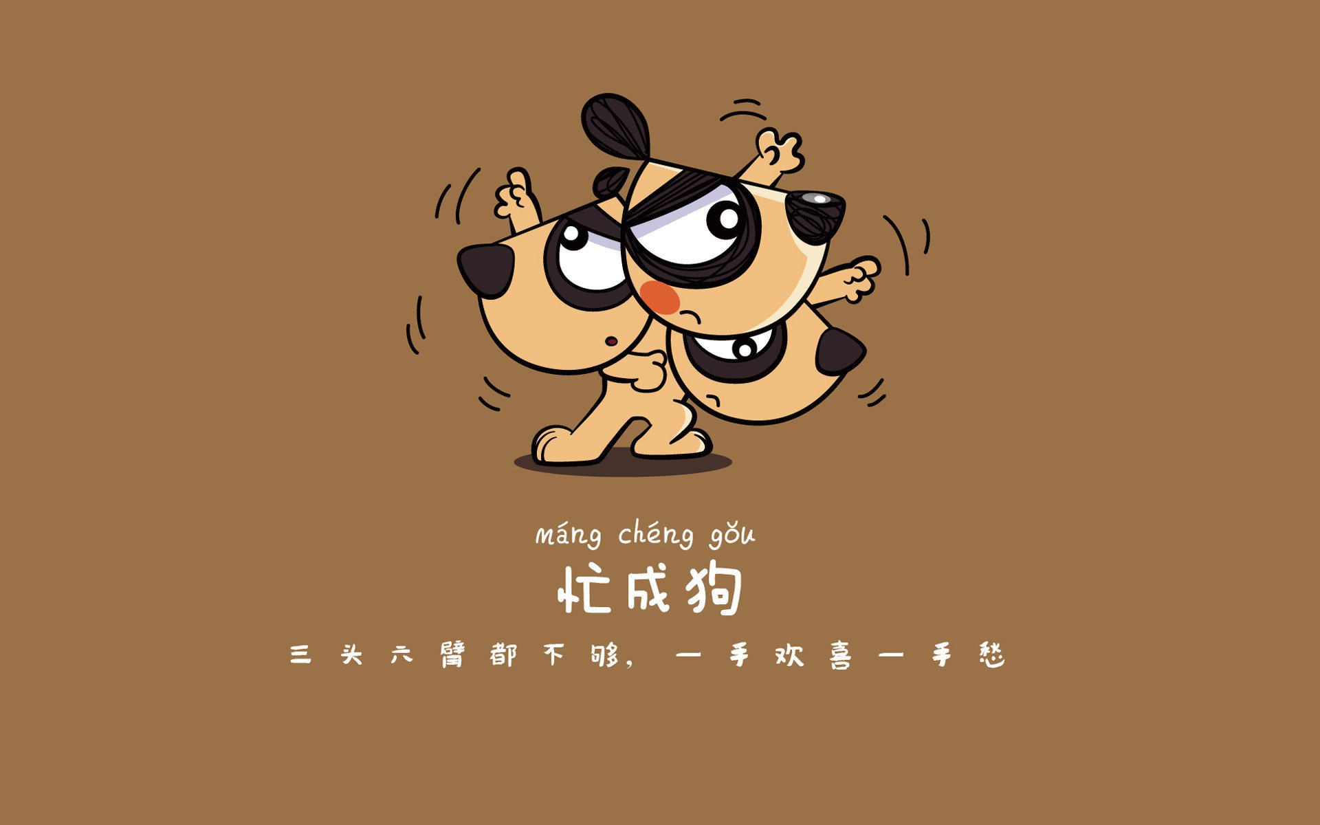 上海海港青训营培养新星，上海上港青训怎么报名