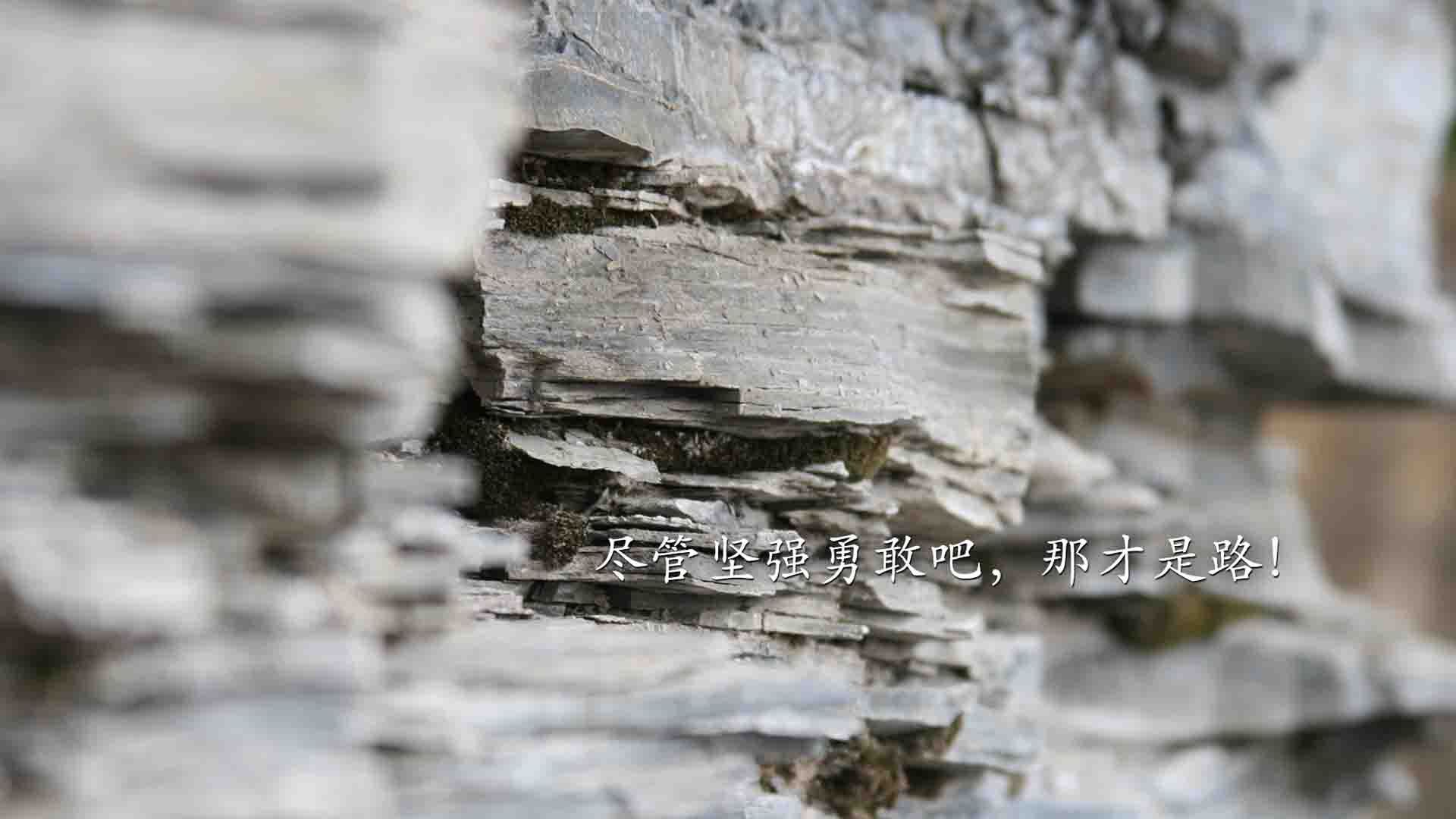 乐鱼体育登录-公牛逆转勇士，全明星赛前哨战中德罗赞创下生涯新高，德罗赞公牛球衣
