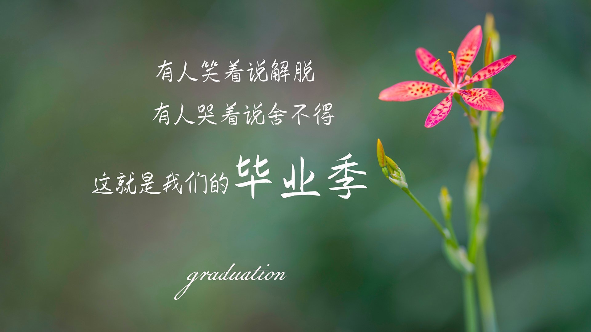 APP下载 LY Sports-布克关键上篮命中太阳完成逆转好戏，布克球星