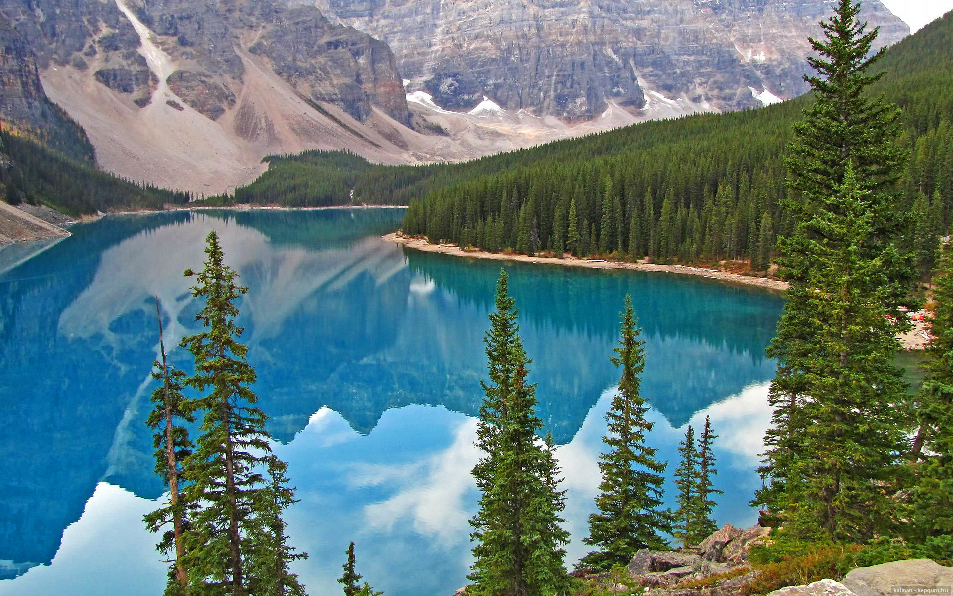 leyu乐鱼体育综合-职业联赛设立技术流派分析报告推动战术创新，职业联赛的作用