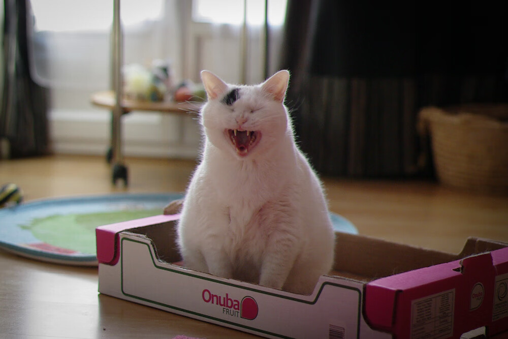 leyu.com-英超最后冲刺：悬念、激情、荣耀！，英超收官战