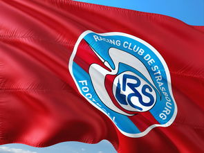 乐鱼vip-荷兰队在欧洲预赛中继续保持领先优势