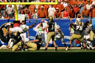 leyu乐鱼-运动员访谈传递正能量，运动员访谈提纲