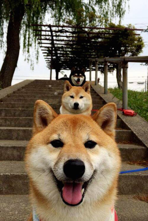 下载乐鱼体育APP-防守体系紧密，区域控制效果明显，进行防守