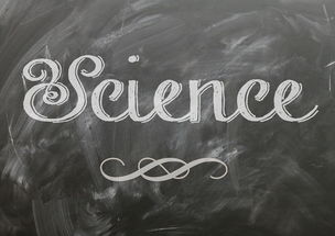 Leyu Sports (乐鱼体育)-麦考领袖风范：全黑队胜利的灵魂人物，麦考3个总冠军